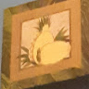 Meet your Posher, Jenifer's